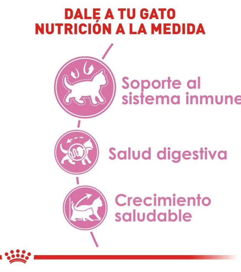 Royal Canin Kitten Gatito 1.5 kg - Imagen 7