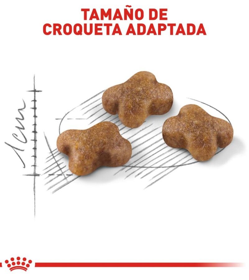 Royal Canin Kitten Gatito 1.5 kg - Imagen 8