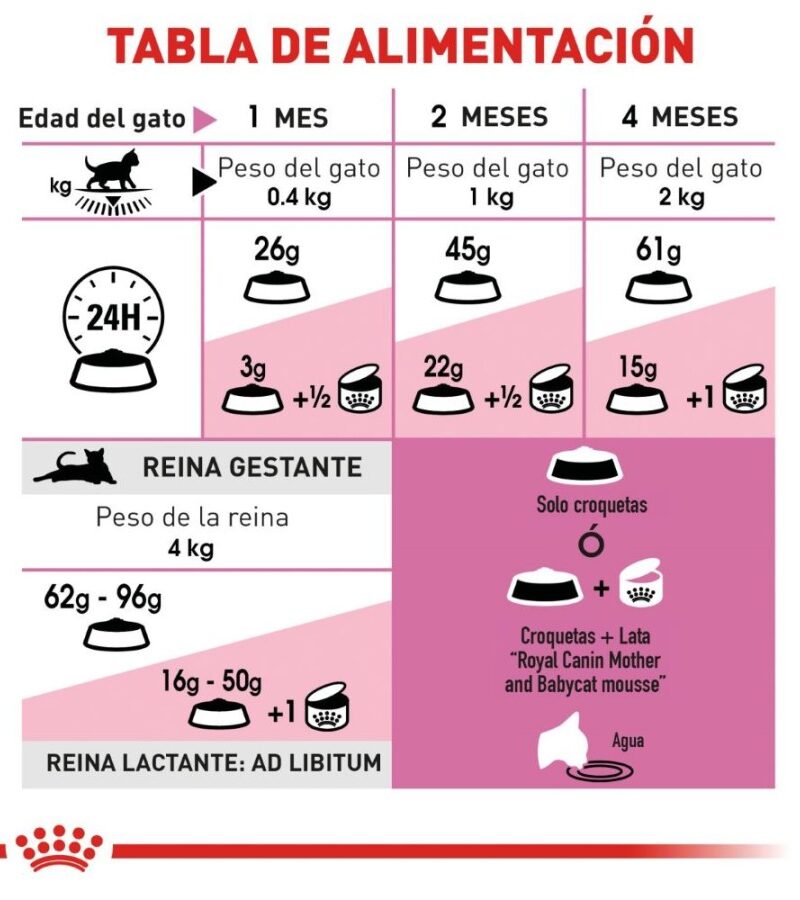 Royal Canin Mother Baby Cat Gato en Gestación/Lactancia/Destete Receta Pollo, 1.5 kg - Imagen 3