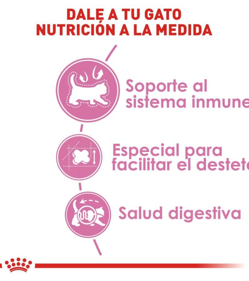 Royal Canin Mother Baby Cat Gato en Gestación/Lactancia/Destete Receta Pollo, 1.5 kg - Imagen 5