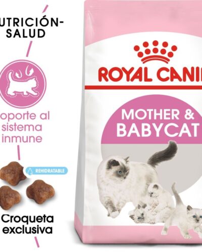 Royal Canin Mother Baby Cat Gato en Gestación/Lactancia/Destete Receta Pollo, 1.5 kg