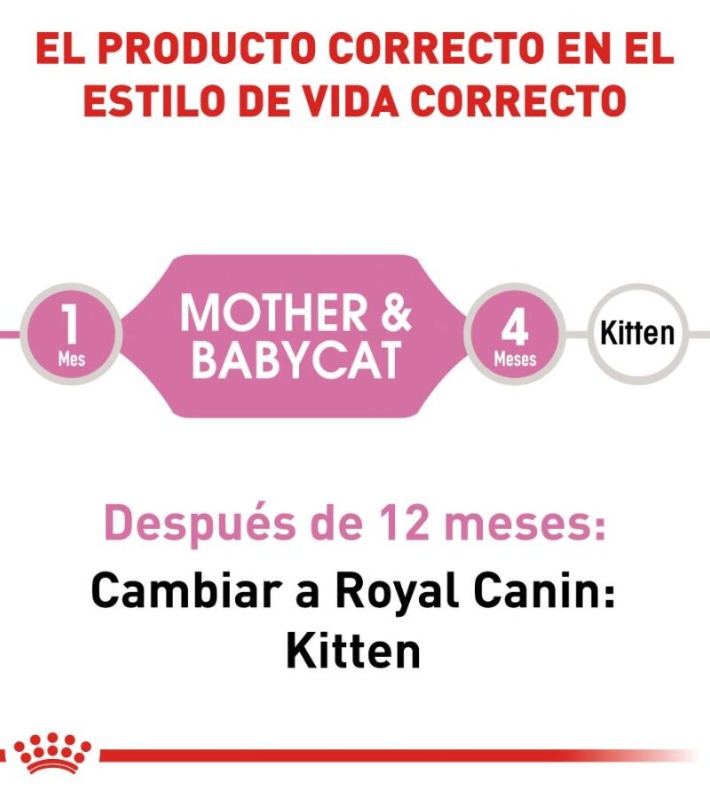 Royal Canin Mother Baby Cat Gato en Gestación/Lactancia/Destete Receta Pollo, 1.5 kg - Imagen 6