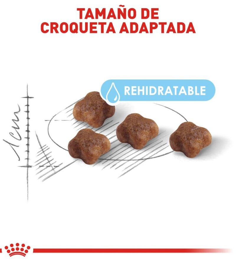 Royal Canin Mother Baby Cat Gato en Gestación/Lactancia/Destete Receta Pollo, 1.5 kg - Imagen 8