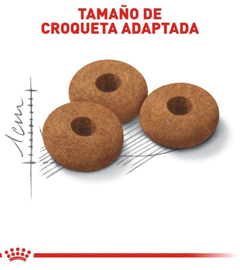 Royal Canin Spayed Neutered Appetite Control 5.9 kg - Imagen 5